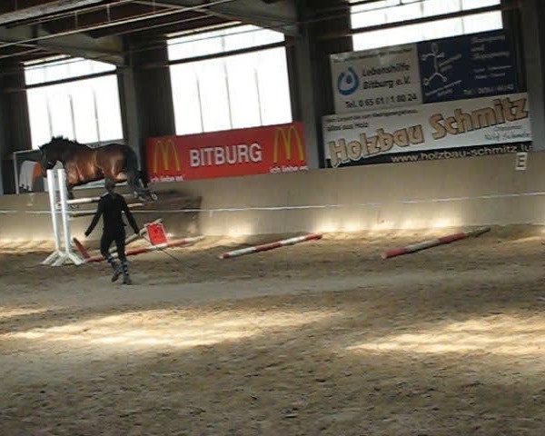 dressage horse Fideon (Westphalian, 2004, from Fürst Piccolo)