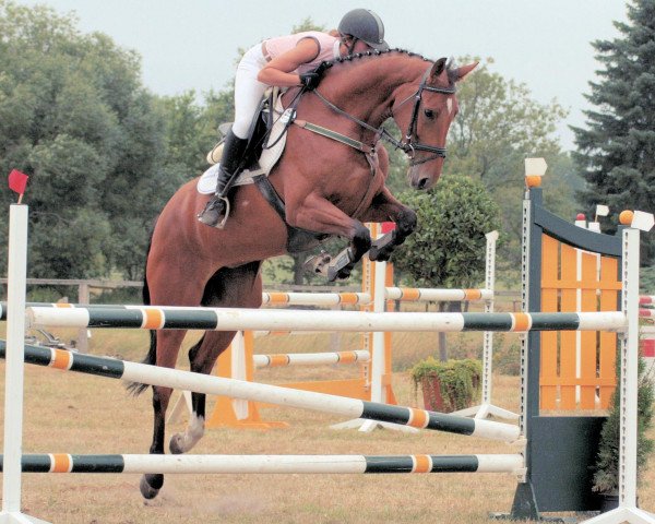 jumper Lakshmi 4 (Hanoverian, 2005, from Landor S)