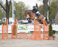 jumper Coco 241 (KWPN (Royal Dutch Sporthorse), 2007, from Wallenberg)