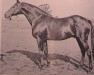 horse Nebelwerfer xx (Thoroughbred, 1944, from Magnat xx)