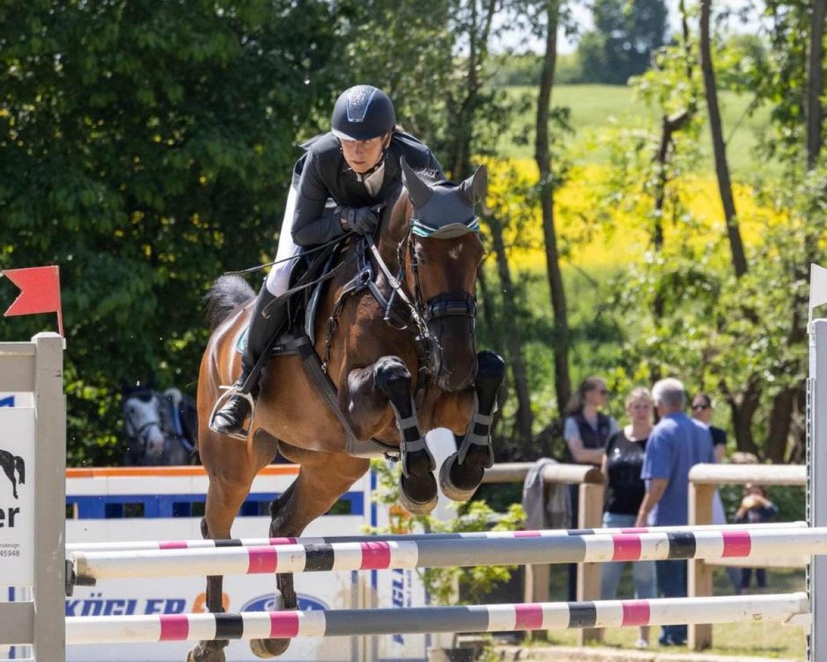 broodmare Crawford's Finchen (Holsteiner, 2010, from Crawford)