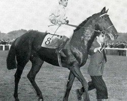 stallion Tantième xx (Thoroughbred, 1947, from Deux-Pour-Cent xx)