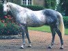 stallion Pentathlon xx (Thoroughbred, 1964, from Ennis xx)