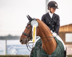 dressage horse Lord Carnaby (Rhinelander, 2007, from Lord Loxley I)