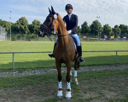 dressage horse Hofgut Liederbach's De Christo (Oldenburger, 2016, from De Kooning)