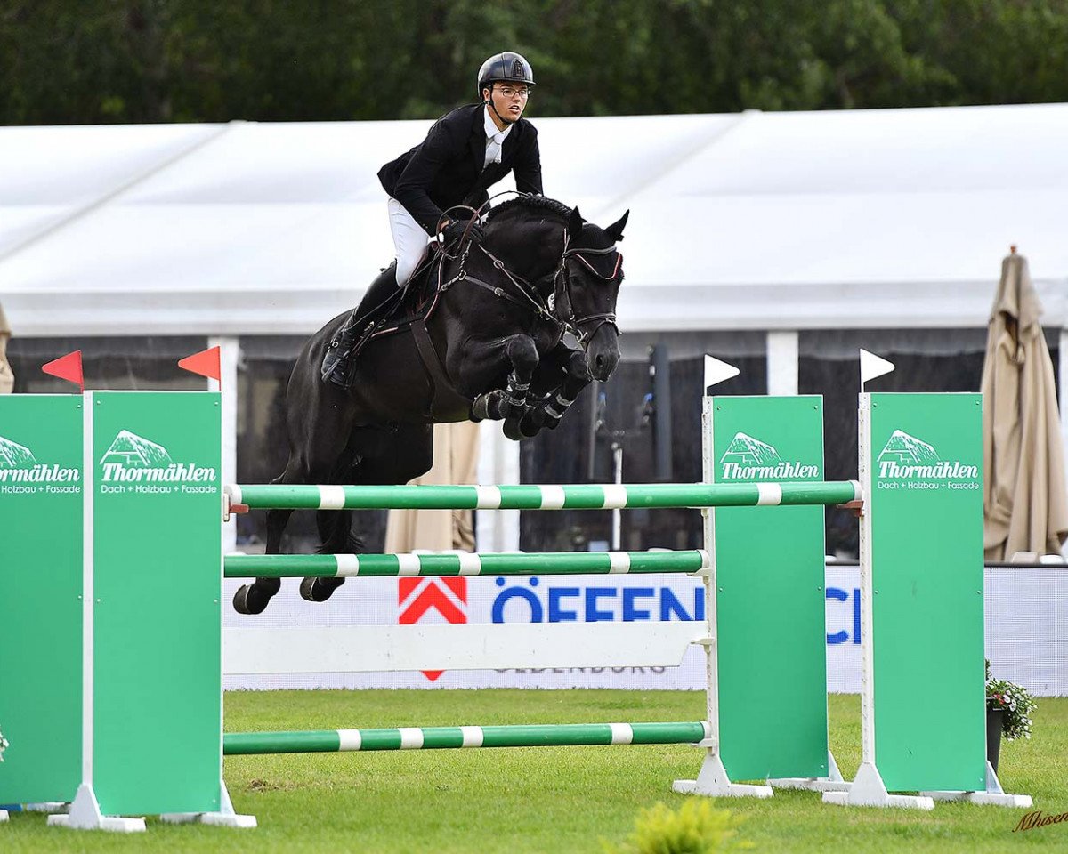 stallion Vagabond (KWPN (Royal Dutch Sporthorse), 2015, from Vagabond de la Pomme)