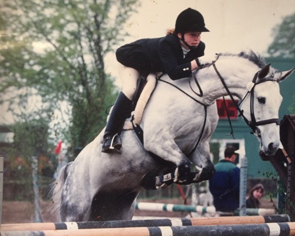 horse Boboli 2 (Hanoverian, 1991, from Bold Indian xx)