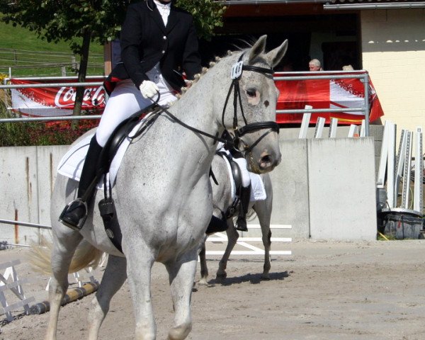 dressage horse Alesco 6 (Hessian Warmblood, 1997, from Alpenkoenig)