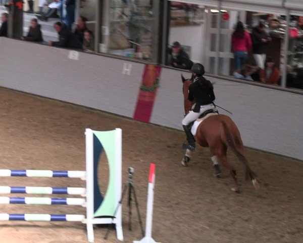 Legdener Ponymeeting 2022