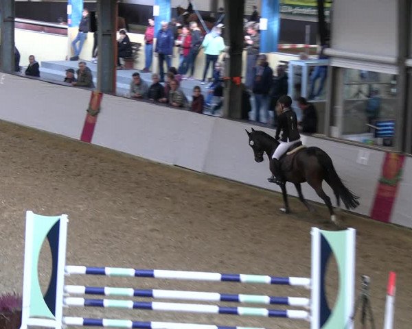 Legdener Ponymeeting 2022
