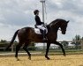 dressage horse Vegas 53 (Rhinelander, 2012, from Vitalis)