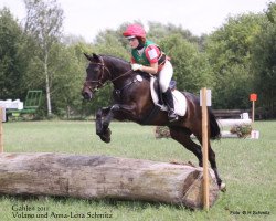 horse Volano 6 (German Riding Pony, 1996, from Valido)