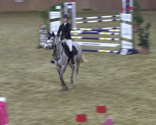 Reitturnier Bad Salzuflen 2022