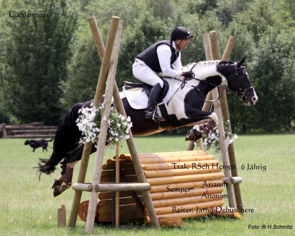 stallion Semper (Trakehner, 2005, from Arianin)