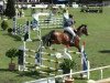 jumper Alcasino 2 (German Sport Horse, 2004, from Al Cantino (ex: Romario))