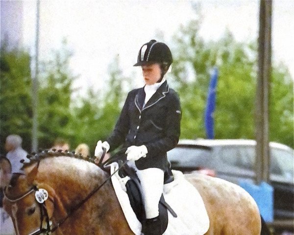 dressage horse Laffran Pearl (German Riding Pony, 2008)