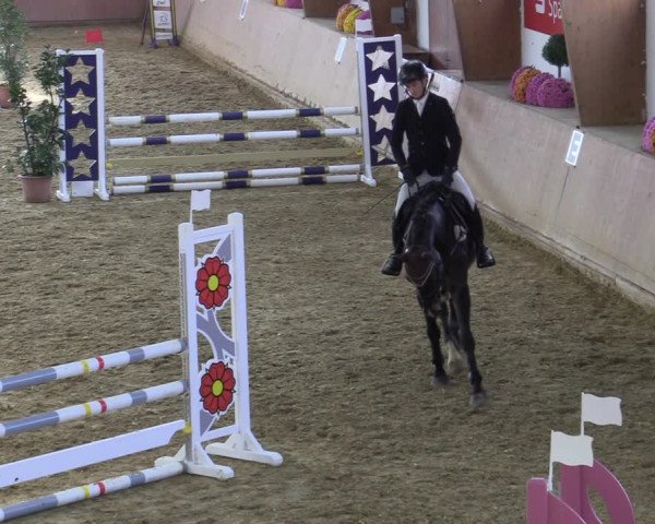 Reitturnier Bad Salzuflen 2022