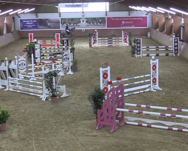 Reitturnier Bad Salzuflen 2022