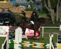 jumper Cordales E (German Sport Horse, 2004, from Corvalon)