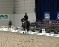 dressage horse Carlo Calucchi (Westphalian, 1996, from Casaretto)