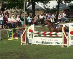 Pferd Germanicus 16 (Trakehner, 2003, von Waitaki 31)