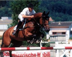 broodmare Carelia vom Schlösslihof (Swiss Warmblood, 1988, from Calando II)