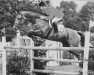 stallion Coeur de Nuit (Holsteiner, 1982, from Calypso I)
