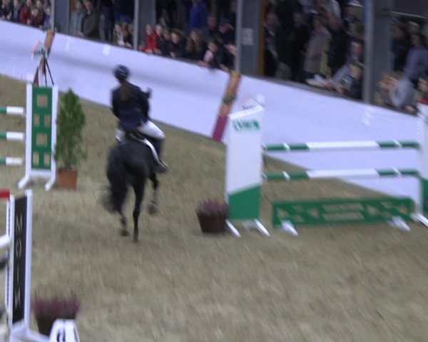 Legdener Ponymeeting 2022