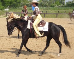 horse Special Honey Bee (Quarter Horse, 2006, from Tidys Moon Bar)