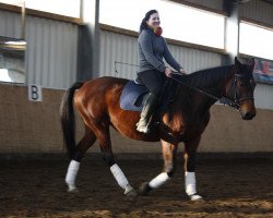 Pferd Uliwa (Trakehner, 1995, von Inkognito)