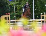 jumper Night Girl S (Oldenburg show jumper, 2016, from Numero Uno)