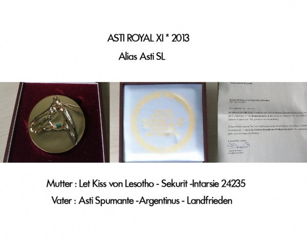 Springpferd Asti SL (Bayer, 2013, von Asti Spumante 7)