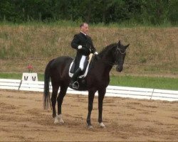 dressage horse Lightness 9 (Hanoverian, 1997, from Lancier)