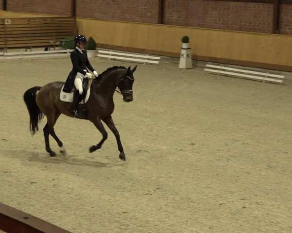 Reitturnier Hamburg-Friedrichshulde/Sylva Kuhrt 2022