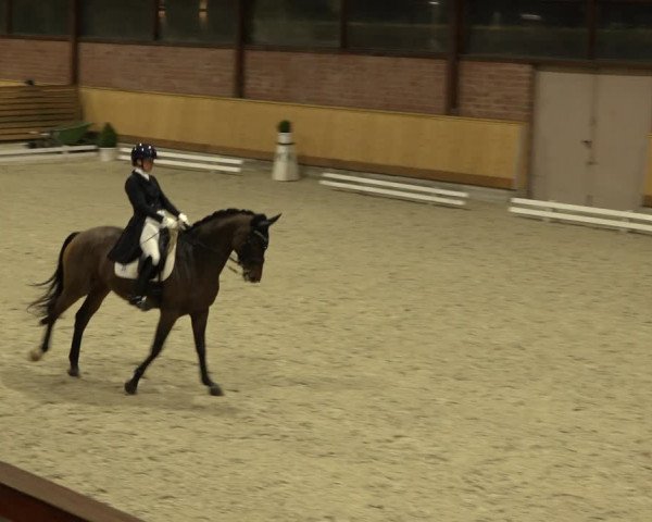 Reitturnier Hamburg-Friedrichshulde/Sylva Kuhrt 2022