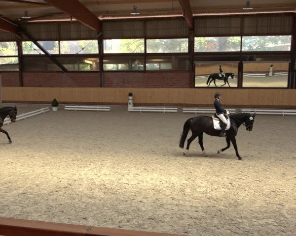 Reitturnier Hamburg-Friedrichshulde/Sylva Kuhrt 2022