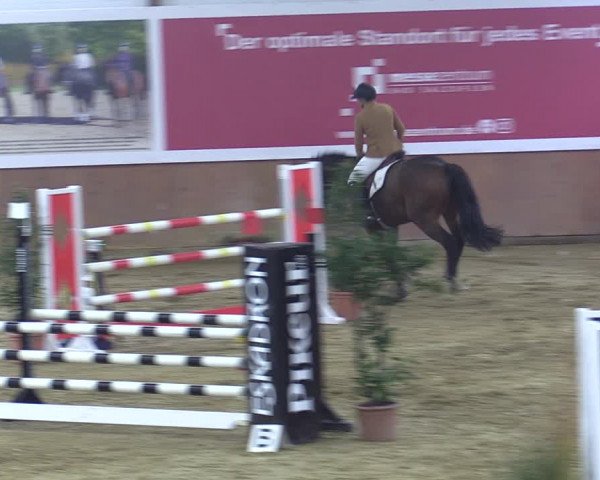 Reitturnier Bad Salzuflen 2022