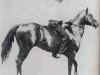 stallion Zantanon (Quarter Horse, 1917, from Little Joe)