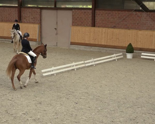 Reitturnier Hamburg-Friedrichshulde/Sylva Kuhrt 2022