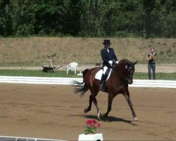 dressage horse Dream of Love 6 (Sachse, 2000, from Dream of Glory)