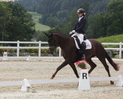 Dressurpferd Kassydora MW (Österreichisches Warmblut, 2014, von Franziskus FRH)