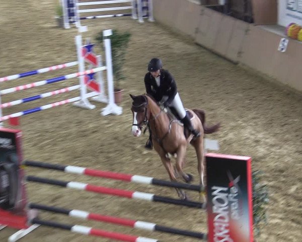 Reitturnier Bad Salzuflen 2022