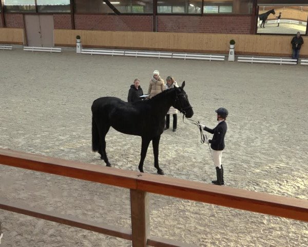 Reitturnier Hamburg-Friedrichshulde/Sylva Kuhrt 2022