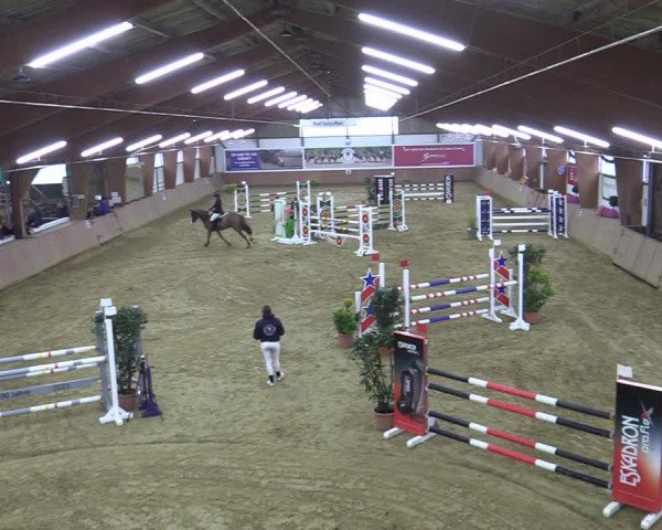 Reitturnier Bad Salzuflen 2022