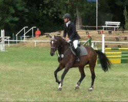 jumper Emily du Barbour (Oldenburg, 2005, from Balou du Rouet)