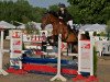 dressage horse Lord Lucky 3 (Oldenburg, 1994, from Landgraf I)