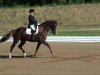 dressage horse Renaissance 97 (Oldenburg, 2002, from Royal Olymp 142 FIN)