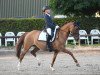 dressage horse Dancing Sun HF (German Riding Pony, 2008, from FS Don't Worry)