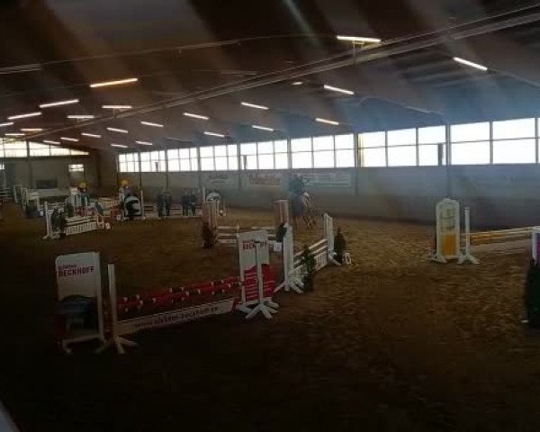 Reitturnier Mastholte 2022