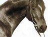 horse Flaneur (Trakehner, 1965, from Maharadscha)